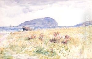 Among The Bent, Ailsa Craig