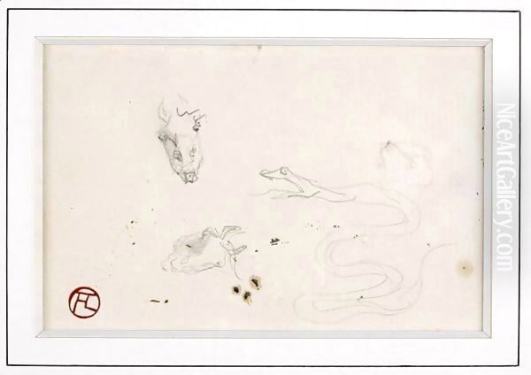 Tetes De Cheval, Serpent, Chien - view 1
