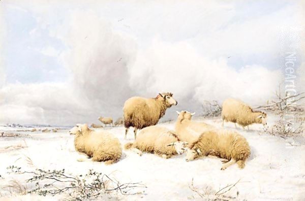Sheep In A Snowy Landscape - view 1