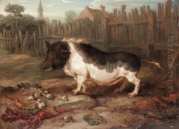 A Hog In A Yard - view 1