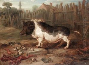 A Hog In A Yard
