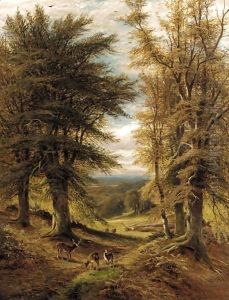 Deer In A Woodland Clearing by Alfred Glendening