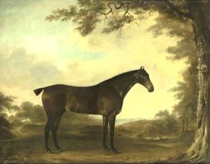Portrait Of A Horse Age 19 Years by Thomas Weaver