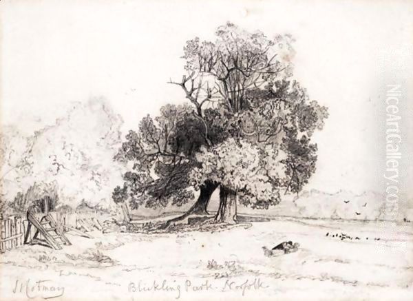 Blickling Park, Norfolk - view 1