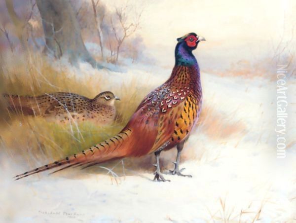 A Pair Of Pheasants In The Snow - view 1