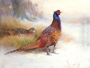A Pair Of Pheasants In The Snow by Archibald Thorburn