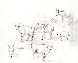 Study Of Horses, Cows, A Donkey And A Pig by Thomas Gainsborough