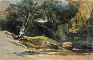 A Rocky Pool