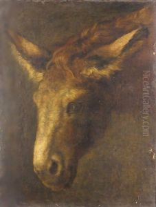 A Study Of The Head Of A Donkey by Peeter Boel