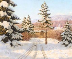 Winter Sun