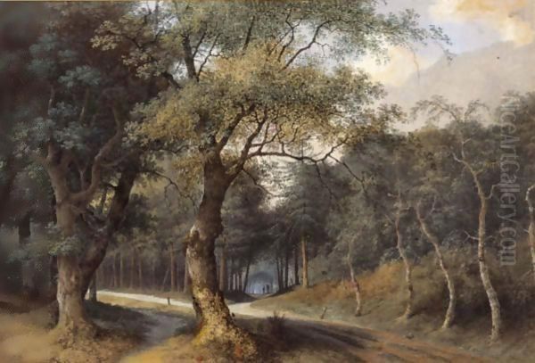 A Path Through A Forest - view 1