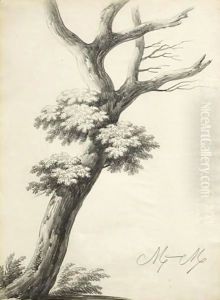 Study Of A Tree by Alphonse Nicolas Michel Mandevare