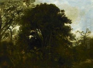 Study Of Trees by Jean-Baptiste-Camille Corot