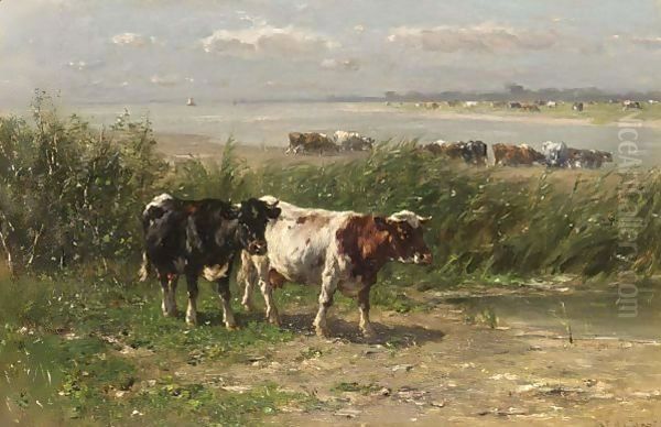 Cattle In A Field - view 1