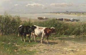 Cattle In A Field