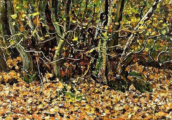 Forest Landscape - view 1