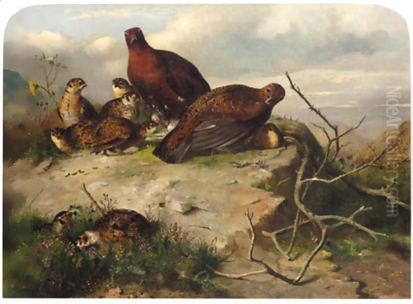 A Pair Of Red Grouse And Chicks - view 1