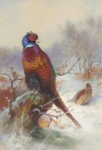 A Pair Of Pheasants
