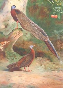 A Pair Of Malay Arguses by Archibald Thorburn