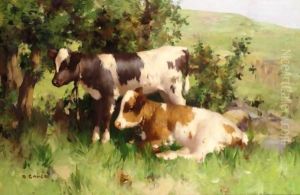Summer Shade by David Gauld