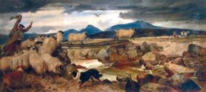 Sheep Gathering In Strathspey Sheep Gathering In Strathspey