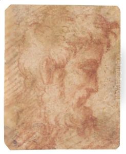 Head Of A Bearded Man In Profile To The Right