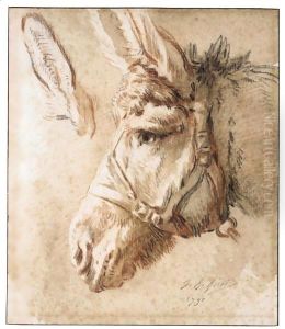 Study Of A Donkey's Head, With Another Study Of His Ear by Jean-Baptiste Huet