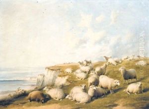 The Flock