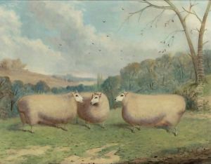 Mr. Henry J. Hopkin's Prize Sheep, Winners Of The 1st And 2nd Prizes At Brockley, Smithfield Club, Bedford, Market Harborough, 1876-1877 by Richard Whitford