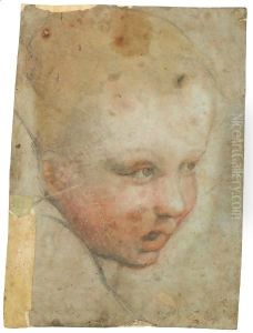 Testa Di Fanciullo by Federico Fiori Barocci