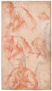 Di Studi Figura Di Fanciullo Con Le Mani Giunte