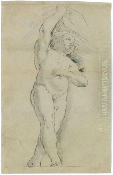 Putto Che Regge Una Cortina - view 1