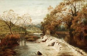 Stapleton Glen, Near Bristol