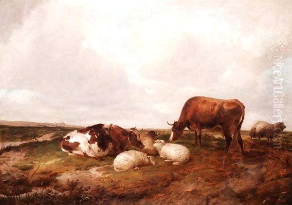Cattle And Sheep Grazing 2 - view 1