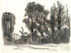 Study Of Trees Study Of Trees
