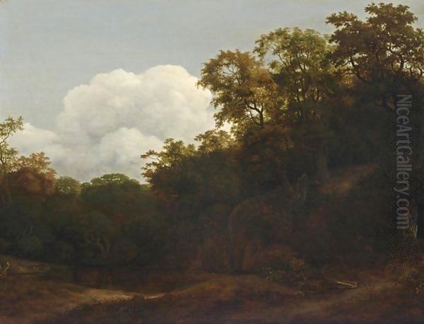 A Wooded Landscape With A Waterfall Ending In A Forest Pond - view 1