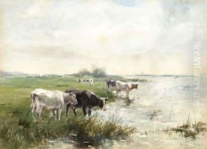 Watering Cows In A Polder Landscape 2