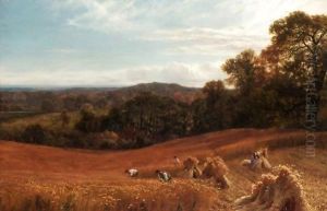 The Heart Of Surrey
