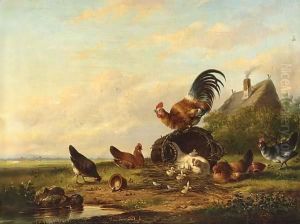 Chickens And A Cockerel In A Landscape