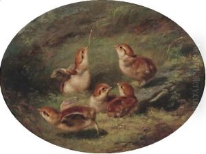 Young Ruffed Grouse 2 by Arthur Fitzwilliam Tait