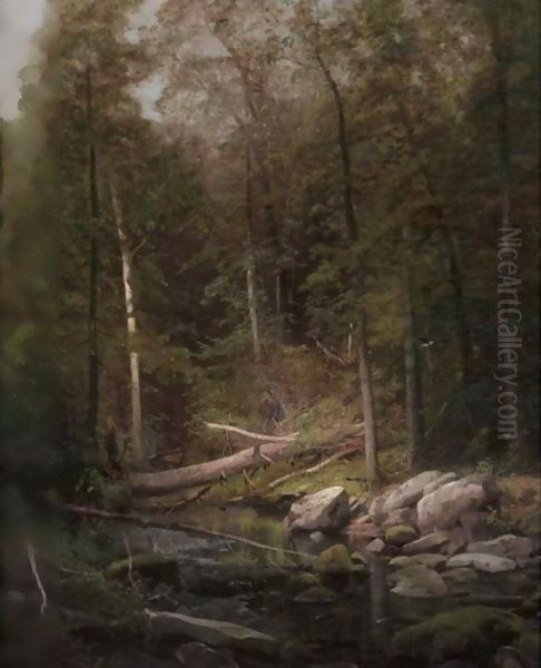 Rattlesnake Run - view 1