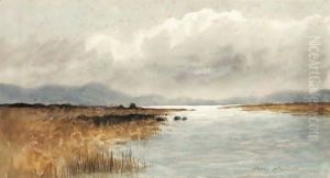A Peat Bog, Ireland by William Percy French