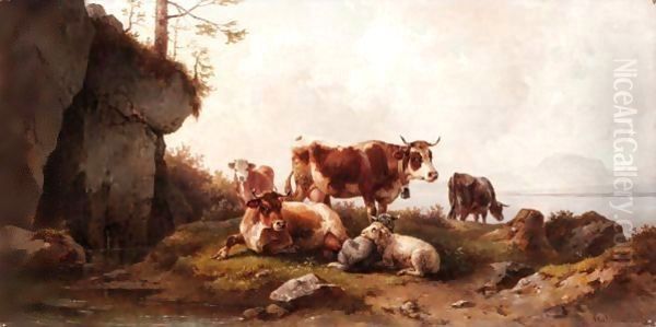 Cattle Grazing - view 1