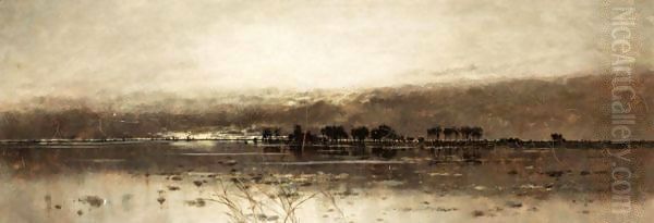 A Flooded Landscape - view 1