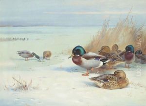 Mallards On A Frozen Lake