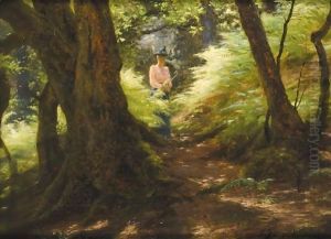 The Forest Path