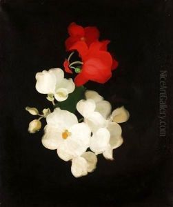 Red And White Roses 2