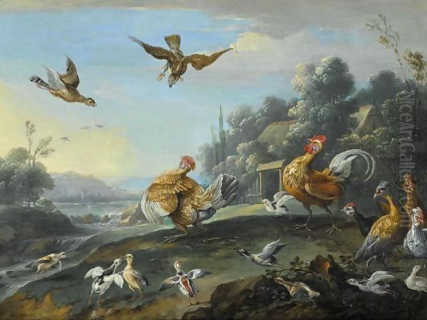 Chickens And Their Young Disturbed By Sparrow Hawks - view 1