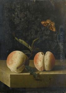 Still Life With Two Peaches And A Fritillary Butterfly On A Stone Ledge by Adriaen Coorte