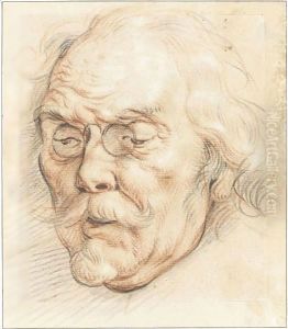 Head Of An Elderly Man (Adam Van Noort) by Jacob Jordaens